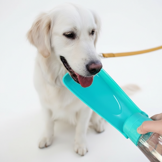 Gourde pour Chien – Hydratation facile, partout et à tout moment