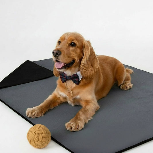 Couverture Waterproof pour Chien – Protection, confort et praticité