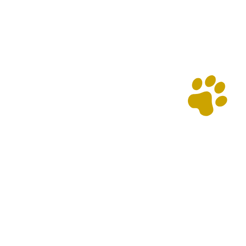 Pattounes & Moustache